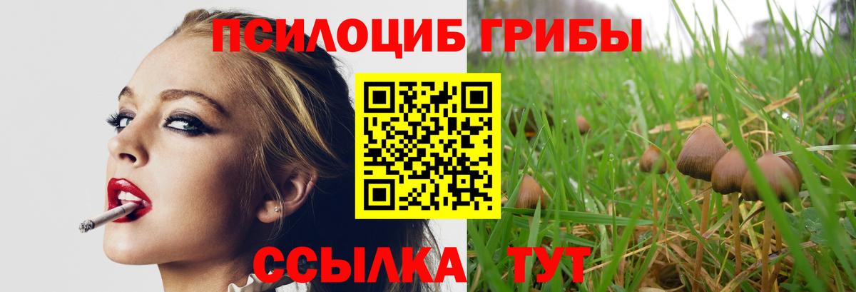 Саров  Псилоцибиновые грибы Magic Shrooms  Вход с VPN 